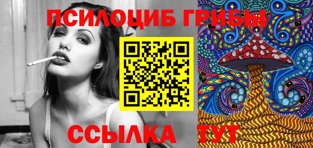 Кириши  Галлюциногенные грибы мицелий  продажа наркотиков  Вход с VPN  Псилоцибиновые грибы прущие грибы 
